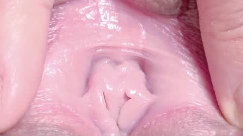 orchidekitty online show from April 1, 2026, 9:12 pm