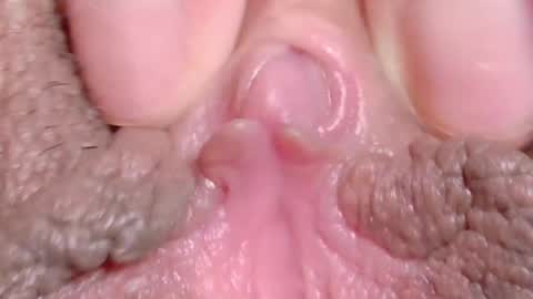 orchidekitty online show from April 10, 2026, 11:20 pm