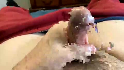 Snapshot of oreoworld chatting on December 30, 2024, 7:21 pm Super Soaker Oreo World online show from December 30, 2024, 7:21 pm