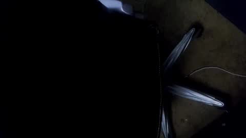 Snapshot of orgasmgiver9090 chatting on November 7, 2025, 7:36 pm orgasmgiver9090 online show from November 7, 2025, 7:36 pm