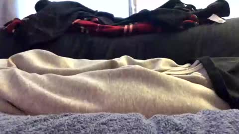 Snapshot of orgazim123 chatting on November 15, 2025, 5:20 pm orgazim online show from November 15, 2025, 5:20 pm