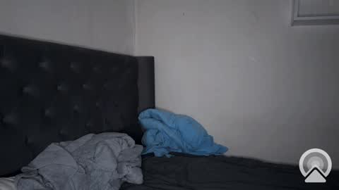 origamicat online show from February 6, 2025, 3:20 pm