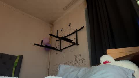 origamicat online show from January 15, 2026, 9:07 pm