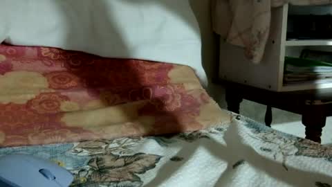 Snapshot of orly369xx chatting on July 17, 2026, 11:06 am orly369xx online show from July 17, 2026, 11:06 am