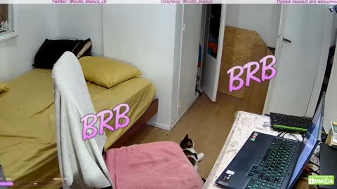 Osito Blanco online show from January 30, 2025, 5:19 am