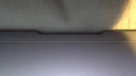 Otto online show from January 21, 2025, 4:05 pm