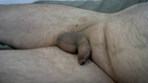 Snapshot of ovid77 chatting on October 22, 2025, 7:08 am ovid77 online show from October 22, 2025, 7:08 am