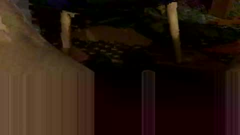 Oxo online show from October 31, 2025, 8:54 pm