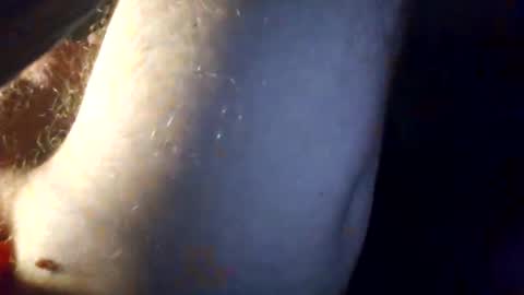 p313883 online show from March 1, 2026, 4:42 pm