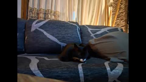 Snapshot of p326032 chatting on November 3, 2025, 8:54 pm p326032 online show from November 3, 2025, 8:54 pm