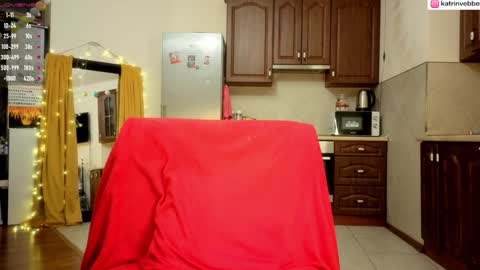 Snapshot of palach2323 chatting on January 29, 2025, 1:48 am Katrin Vebber online show from January 29, 2025, 1:48 am