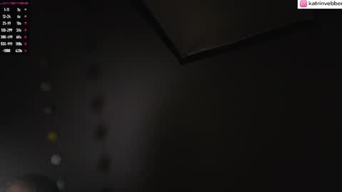 Snapshot of palach2323 chatting on September 11, 2025, 10:26 am Katrin Vebber online show from September 11, 2025, 10:26 am