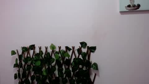 Snapshot of pamela_claus chatting on January 30, 2025, 12:18 am Pamela Claus online show from January 30, 2025, 12:18 am