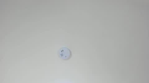 Snapshot of pamemiller chatting on October 23, 2025, 2:33 am PAMELA online show from October 23, 2025, 2:33 am