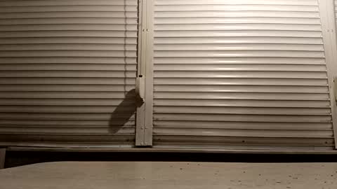 angel hris online show from February 4, 2026, 5:08 pm