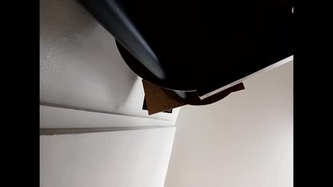 pantieplaytime52532 online show from March 22, 2026, 7:56 am