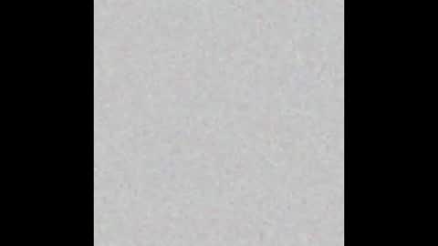 PantsLessTraveler online show from December 25, 2024, 7:34 pm