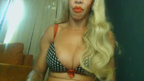PAOLLA 23CM online show from July 1, 2026, 7:02 pm