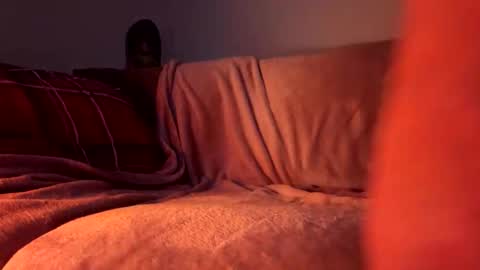 PapaBoner online show from November 4, 2025, 8:24 am