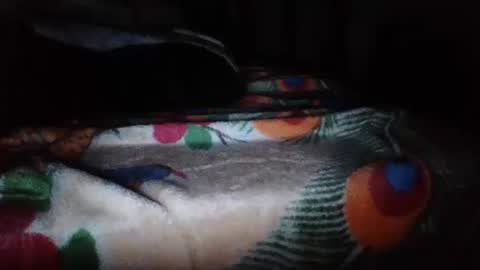 Snapshot of papimexicano703 chatting on November 20, 2025, 6:46 am papi mexicano en boxers online show from November 20, 2025, 6:46 am