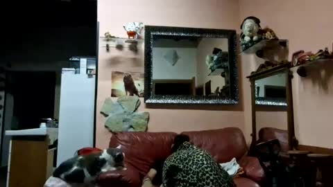 Snapshot of paragura chatting on July 7, 2026, 9:19 pm PARAGURA online show from July 7, 2026, 9:19 pm