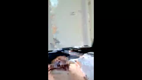 Snapshot of patheticloserbeta chatting on April 1, 2026, 8:50 pm patheticloserbeta online show from April 1, 2026, 8:50 pm