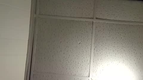 Snapshot of pato0008 chatting on November 19, 2025, 2:44 am JD online show from November 19, 2025, 2:44 am