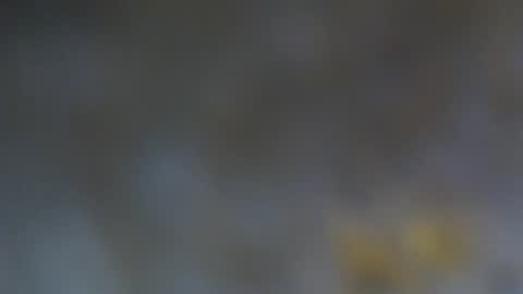 patty squirt87 online show from February 19, 2026, 2:51 am