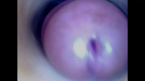 Paula 18 Aninhos online show from January 29, 2025, 2:51 am