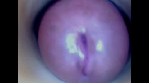 Paula 18 Aninhos online show from January 29, 2025, 8:56 pm