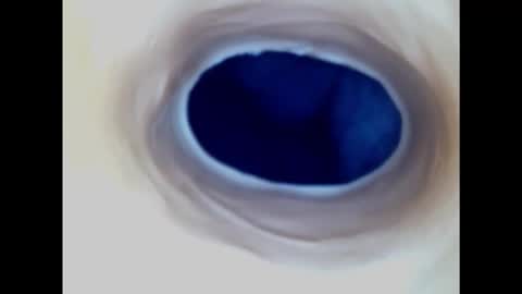 Paula 18 Aninhos online show from March 2, 2025, 2:19 am