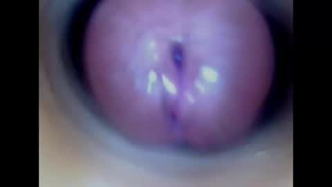 Snapshot of paulainoscente chatting on July 9, 2026, 2:15 am Paula 18 Aninhos online show from July 9, 2026, 2:15 am