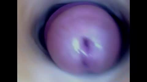 Snapshot of paulainoscente chatting on July 13, 2026, 2:03 am Paula 18 Aninhos online show from July 13, 2026, 2:03 am