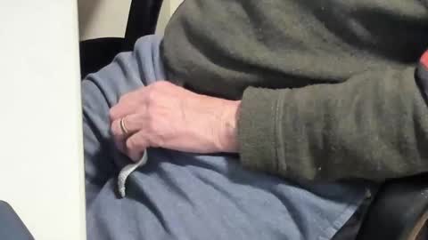 Snapshot of paultje7171 chatting on February 10, 2025, 6:45 pm Paul online show from February 10, 2025, 6:45 pm