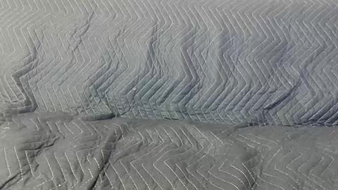 Snapshot of paupam chatting on January 26, 2025, 7:31 pm paupam online show from January 26, 2025, 7:31 pm