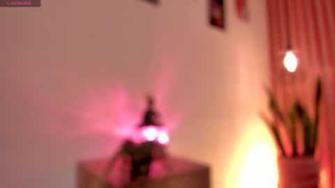 Dani online show from June 2, 2026, 1:35 pm