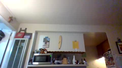 Snapshot of pawgkiller chatting on October 11, 2025, 2:33 am pawgkiller online show from October 11, 2025, 2:33 am