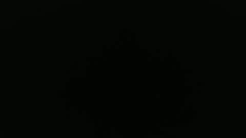 Snapshot of peavsters chatting on September 24, 2025, 8:28 am Alex online show from September 24, 2025, 8:28 am