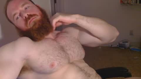 Snapshot of pec_inspector chatting on January 30, 2025, 3:55 am Pec inspector online show from January 30, 2025, 3:55 am