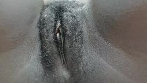 Snapshot of pennyna1 chatting on October 5, 2025, 11:35 pm pennyna1 online show from October 5, 2025, 11:35 pm