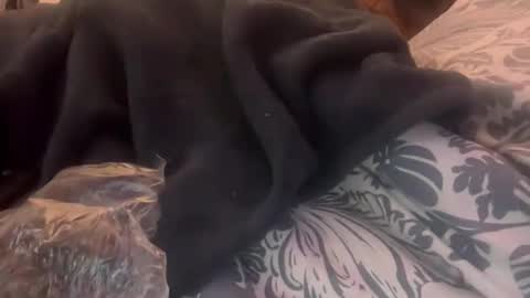 Snapshot of penutbutter691 chatting on February 23, 2026, 11:29 am penutbutter691 online show from February 23, 2026, 11:29 am