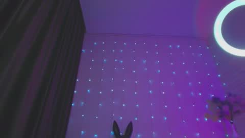 Snapshot of pepper_cat chatting on January 20, 2025, 11:32 pm Dia online show from January 20, 2025, 11:32 pm