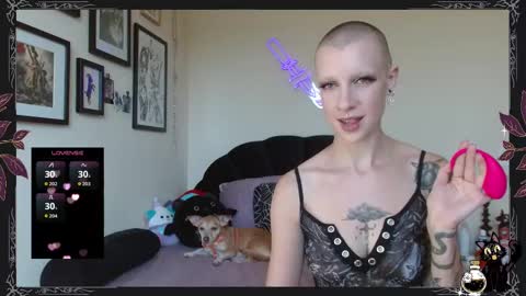 Pepper Dagger online show from September 20, 2025, 10:00 pm