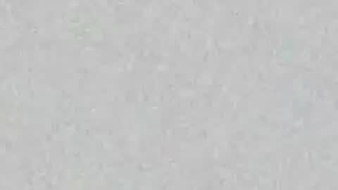 pera_pera_no_mi online show from July 21, 2026, 2:25 am