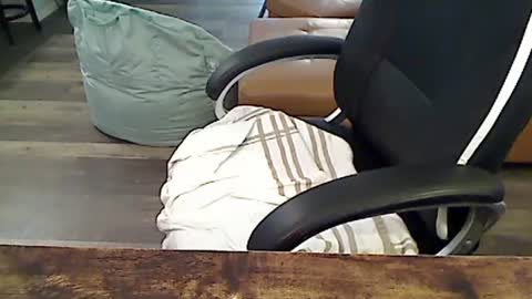 perfecto1957 online show from February 26, 2025, 4:45 pm