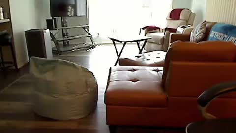 perfecto1957 online show from October 10, 2025, 5:56 pm