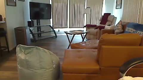 perfecto1957 online show from October 30, 2025, 3:57 pm