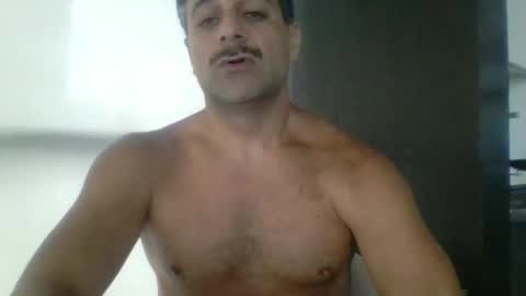 Snapshot of persianprince546 chatting on May 26, 2026, 2:13 pm persianprince546 online show from May 26, 2026, 2:13 pm