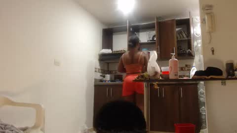 Snapshot of petarda333 chatting on February 28, 2026, 8:43 pm kamila online show from February 28, 2026, 8:43 pm