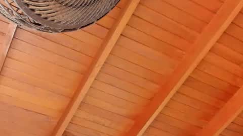 peter jackson1 online show from December 4, 2024, 11:57 pm